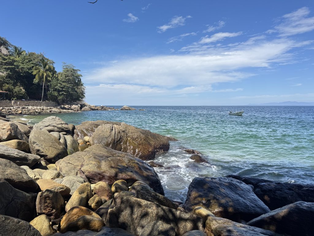 Rocky shoreline with waves gently lapping against the stones, overlooking a vast blue ocean with a small boat floating in the distance. Palm trees and lush greenery line the coast, creating a peaceful tropical retreat setting.